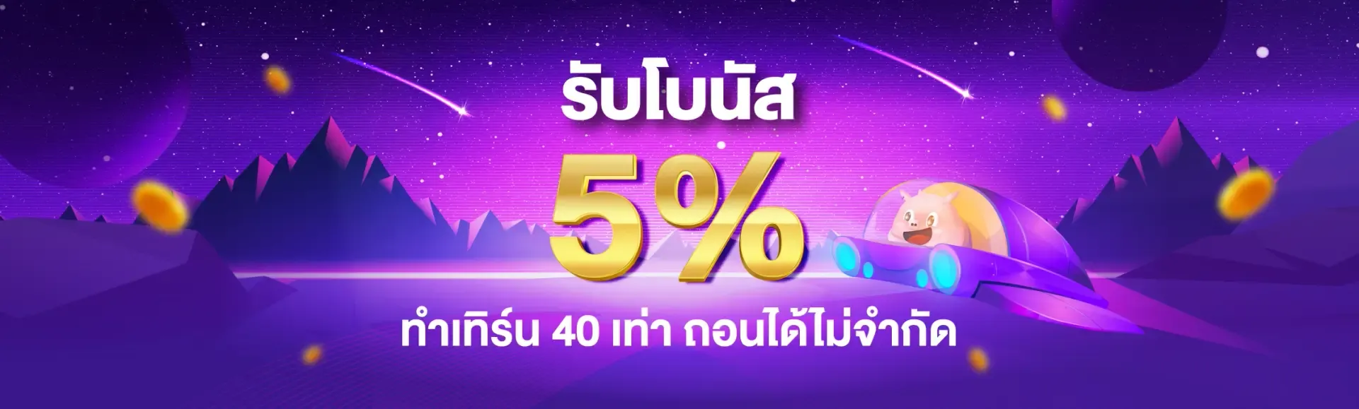 pigsport promotion3