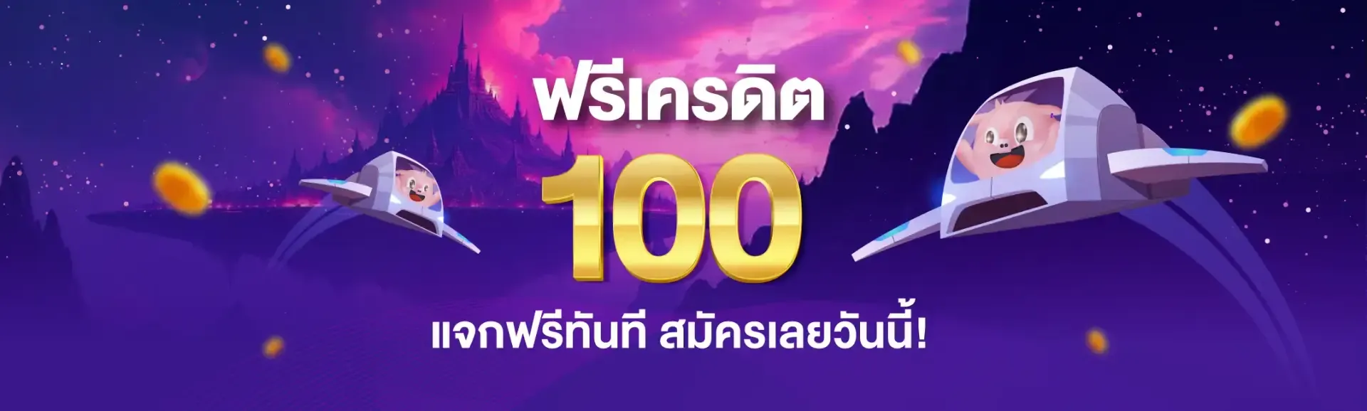 pigsport promotion4